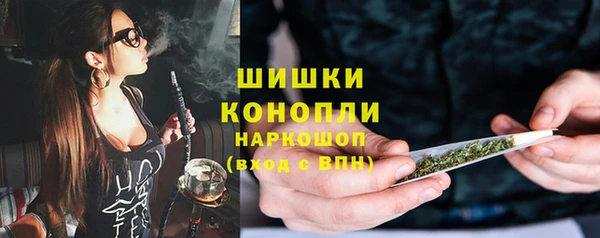 шишки Михайловка