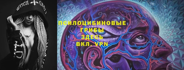 шишки Михайловка